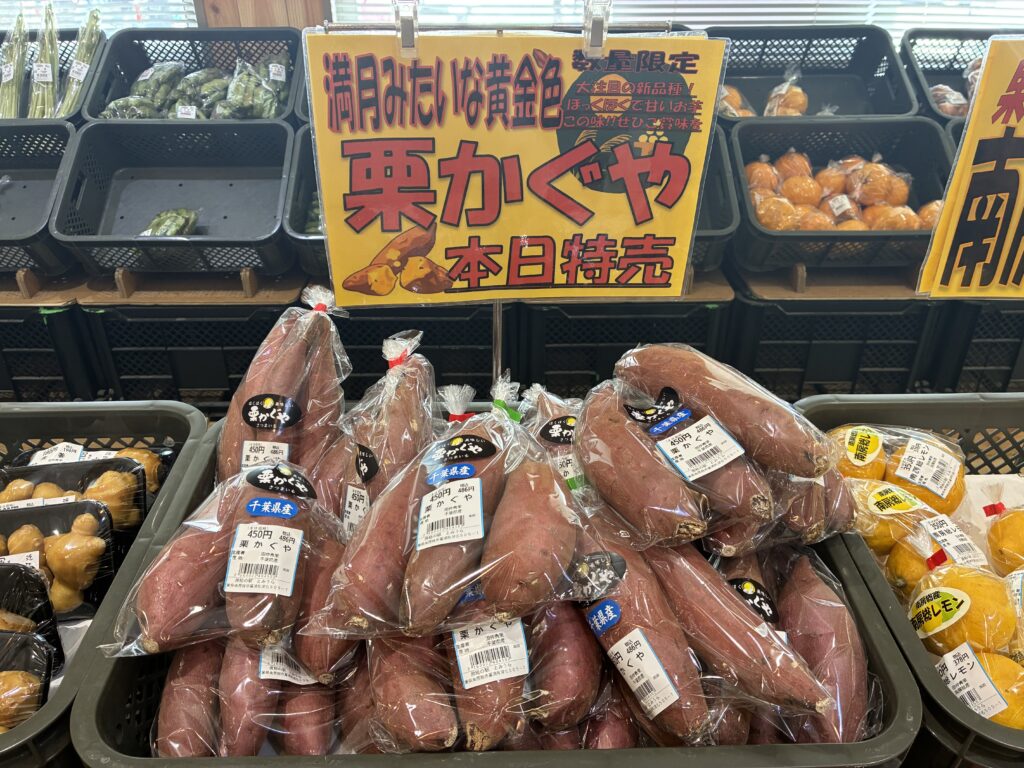 道の駅で販売されていたさつま芋「栗かぐや」