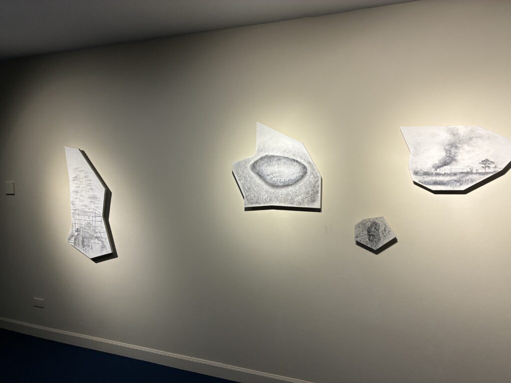 ビエンナーレ会場の壁に展示されたシリーズ作品
