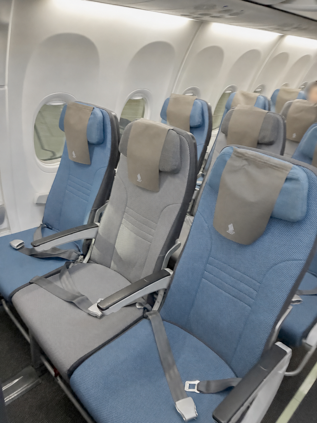 シンガポール航空エコノミークラスの機内。青とグレーのシートが並ぶ