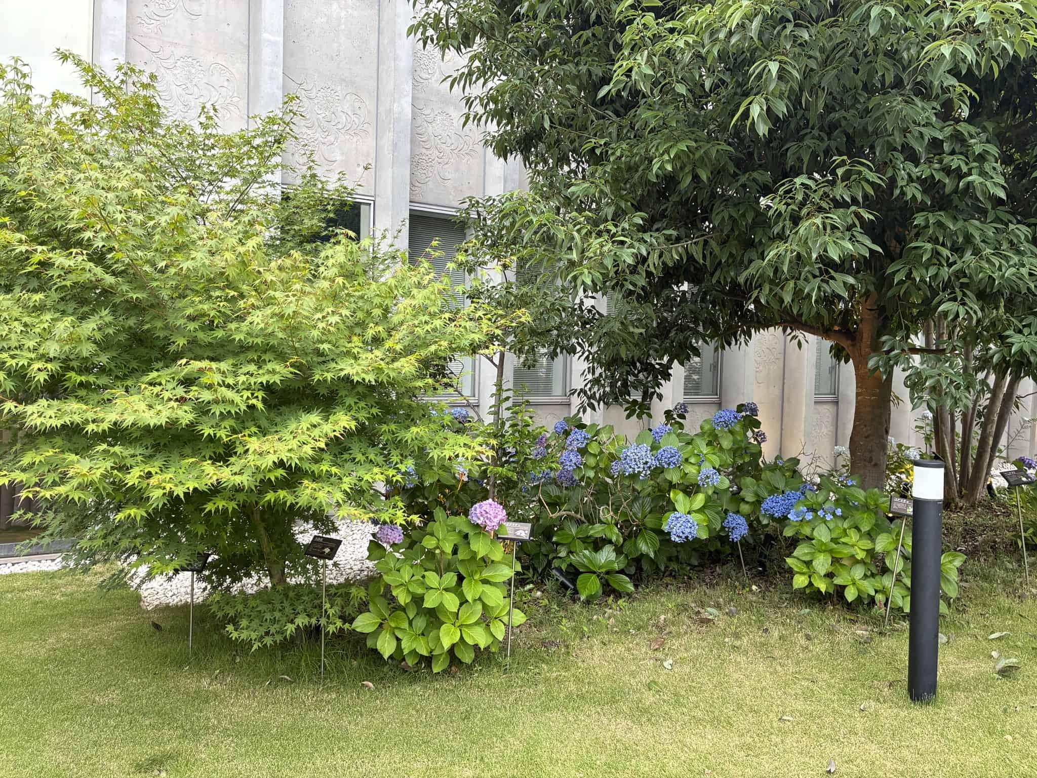 庭園