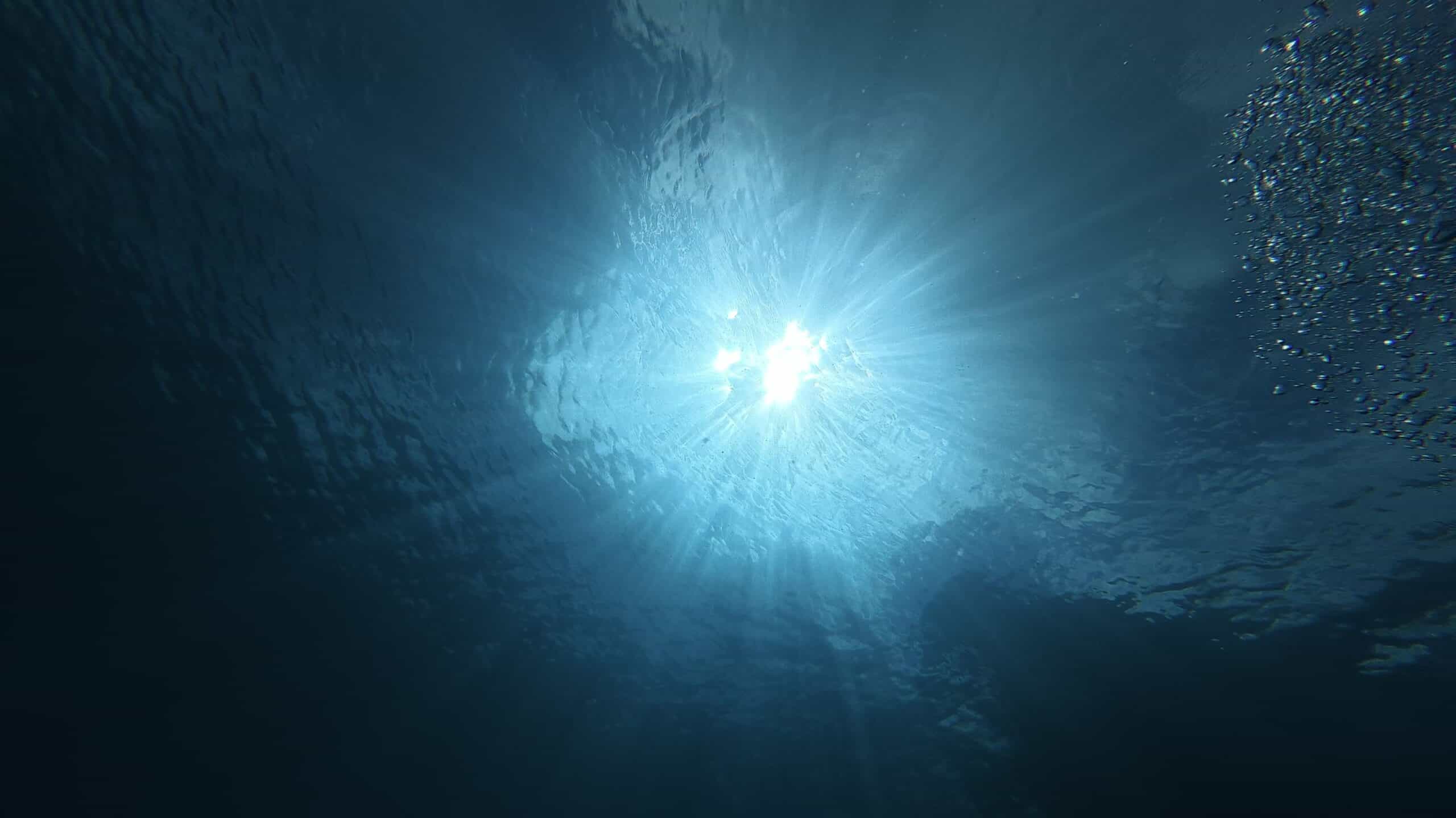水中から見上げた海面。太陽の光が放射状に差し込んでいる