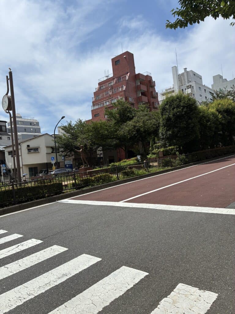 文京区・弥生の坂道。街路樹の緑がつづく、ひろびろとした通り