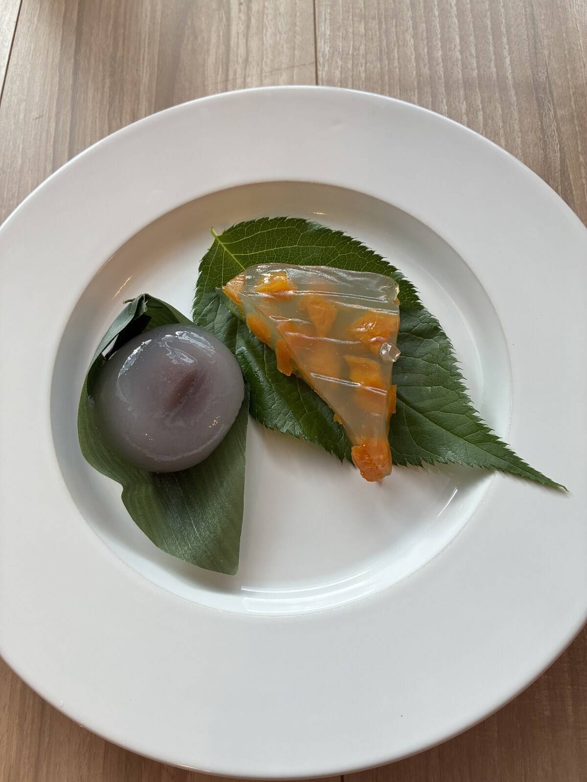 白いお皿にのった玉川屋の水まんじゅうとあんずの露。半透明の生地から中のあんと杏が透けている