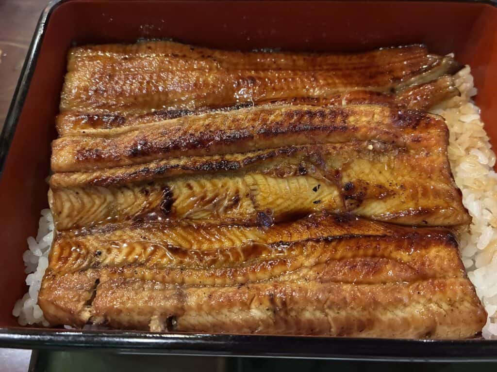 うな重のうなぎのアップ。照りのあるタレと、焼き目がついている